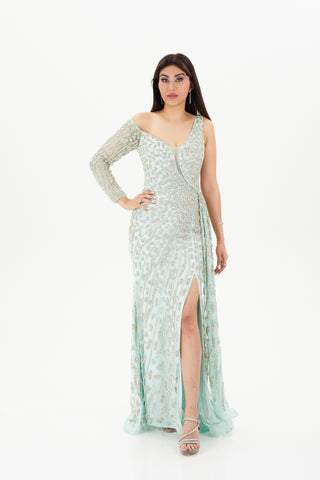 long sleeve gown