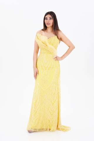 Yellow Floor length dress